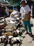 Djibouti - il mercato di Gibuti - Djibouti Market - 63